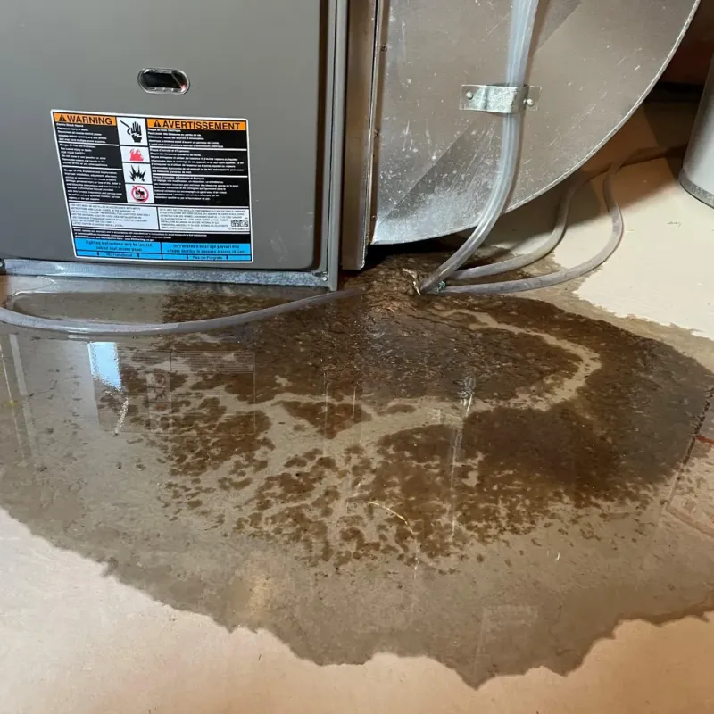 Appliance Leak Cleanup in Goldthwaite, TX