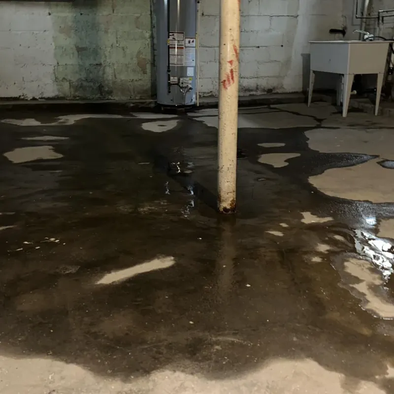 Emergency Water Extraction And Removal in Goldthwaite, TX